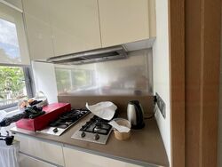The Holland Collection (D10), Apartment #501649581